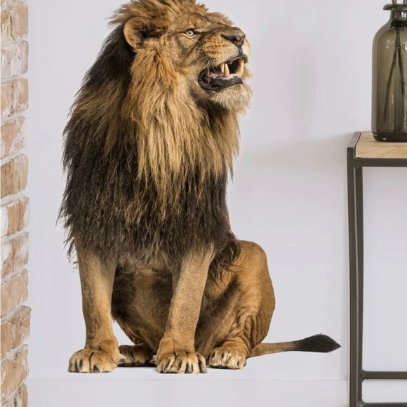 Vision Stickers - Picture 4 of 8